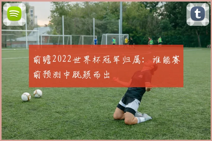 前瞻2022世界杯冠军归属:谁能赛前预测中脱颖而出